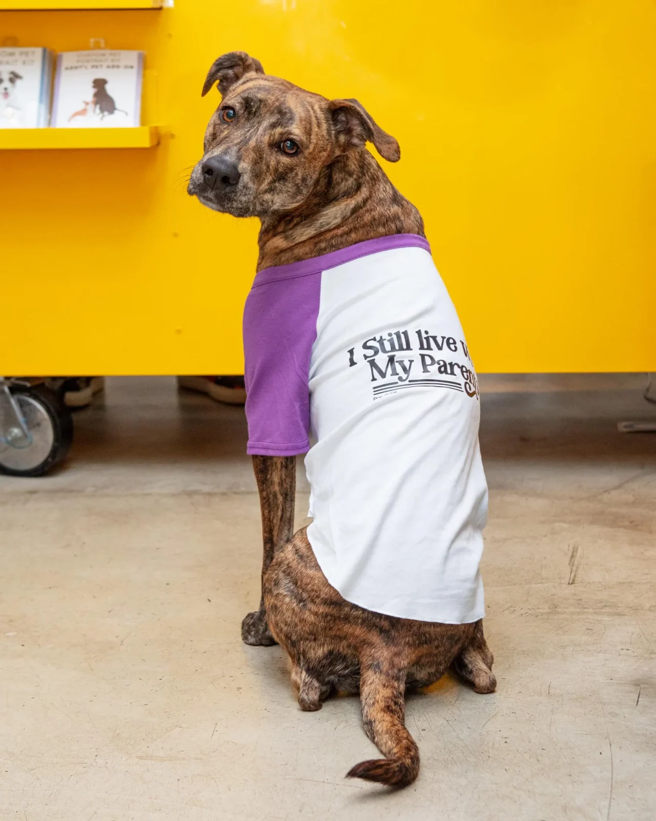 *I Still Live with My Parents* Graphic Dog T-Shirt (FINAL SALE) - Image 2