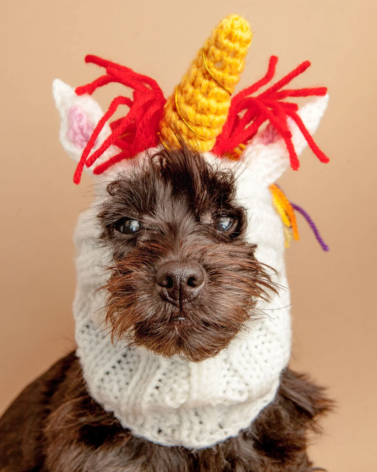 Knit Unicorn Dog Snood