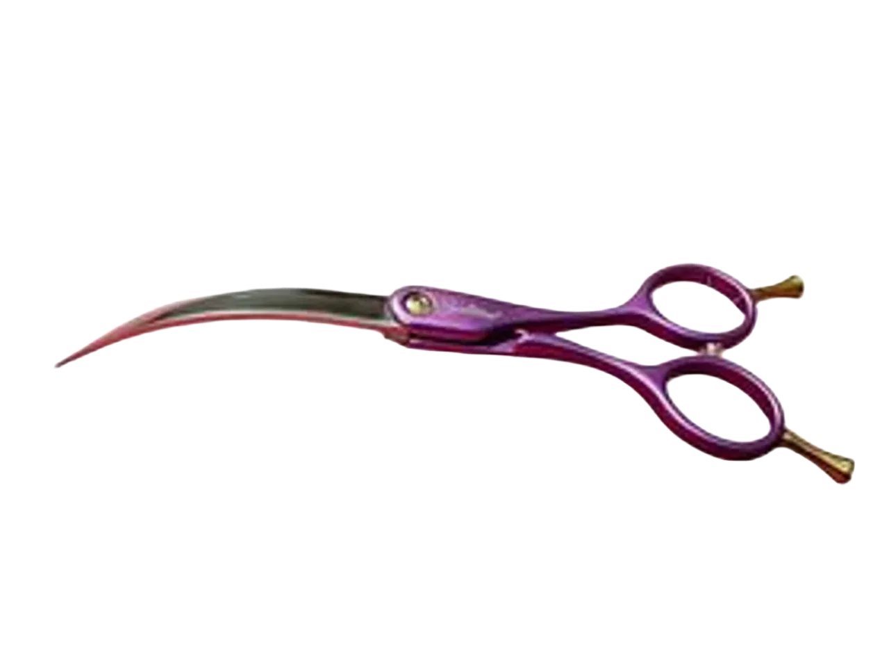Colibri Super Curved Scissors Amethyst 6.5" by Zolitta