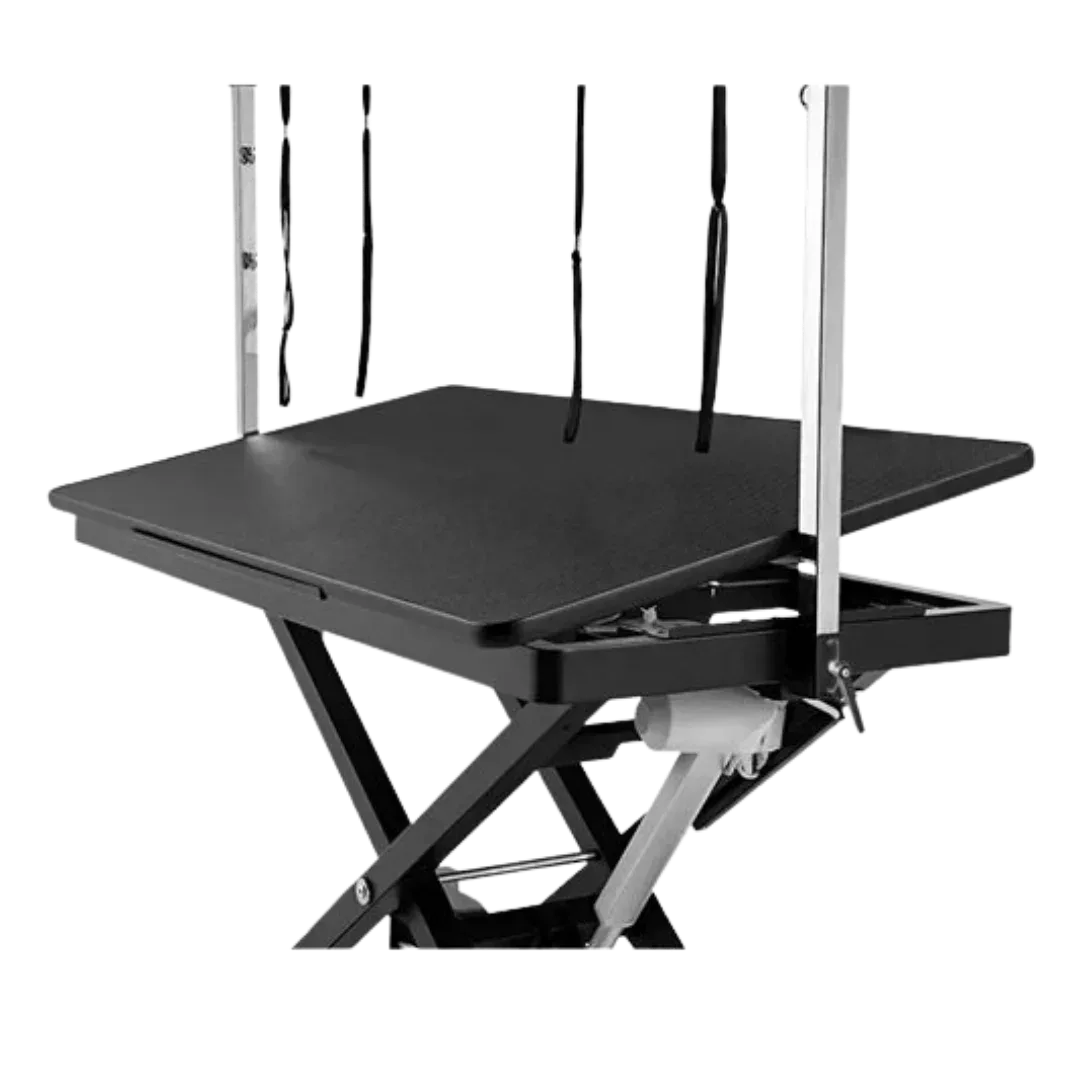 Pre-Order 52" Dog Grooming 999 Electric Table without Drawer Black by Waggz - Image 2