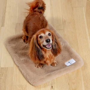 Big Baby Dog Blanket in Truffle (Made in the USA)