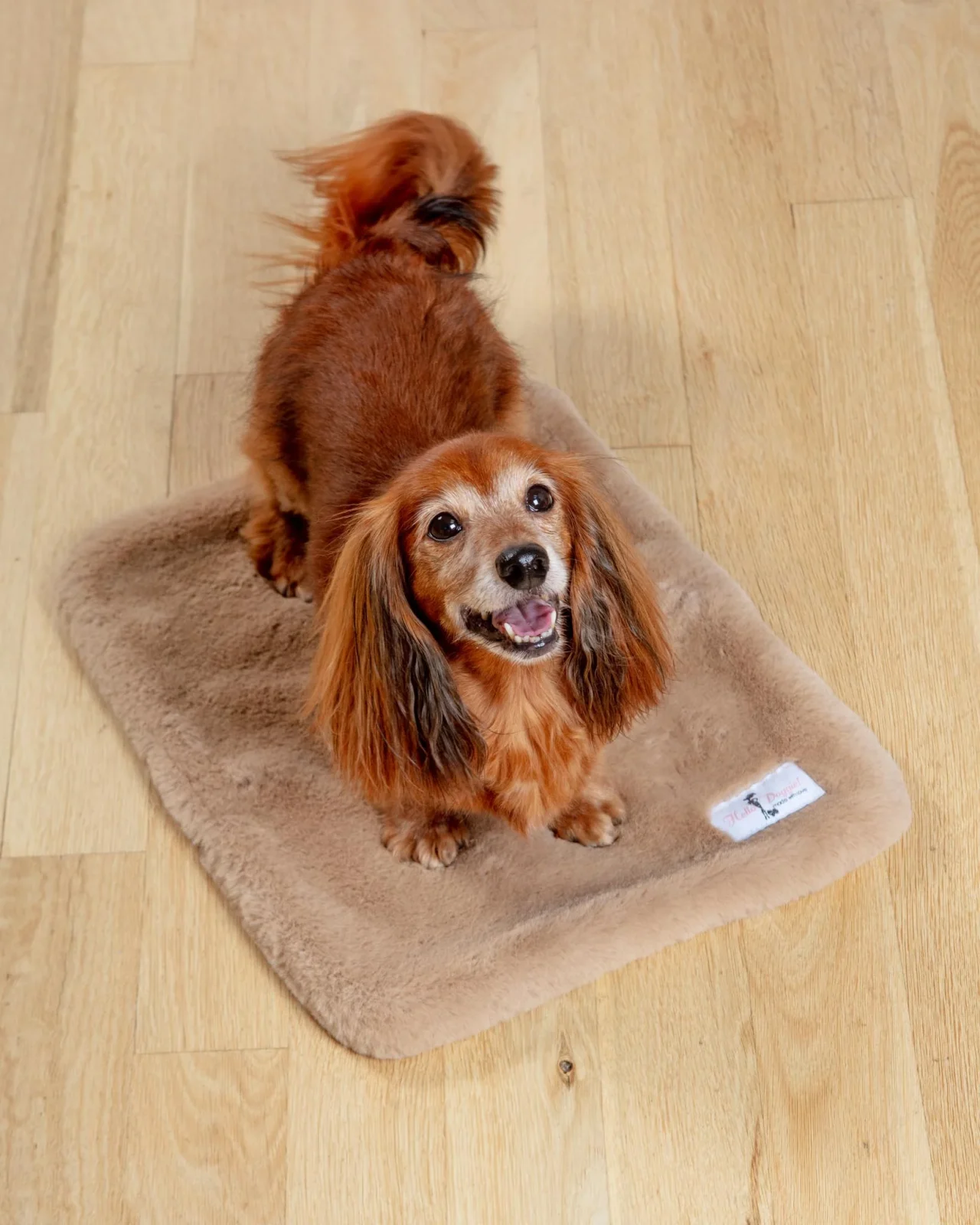 Big Baby Dog Blanket in Truffle (Made in the USA)