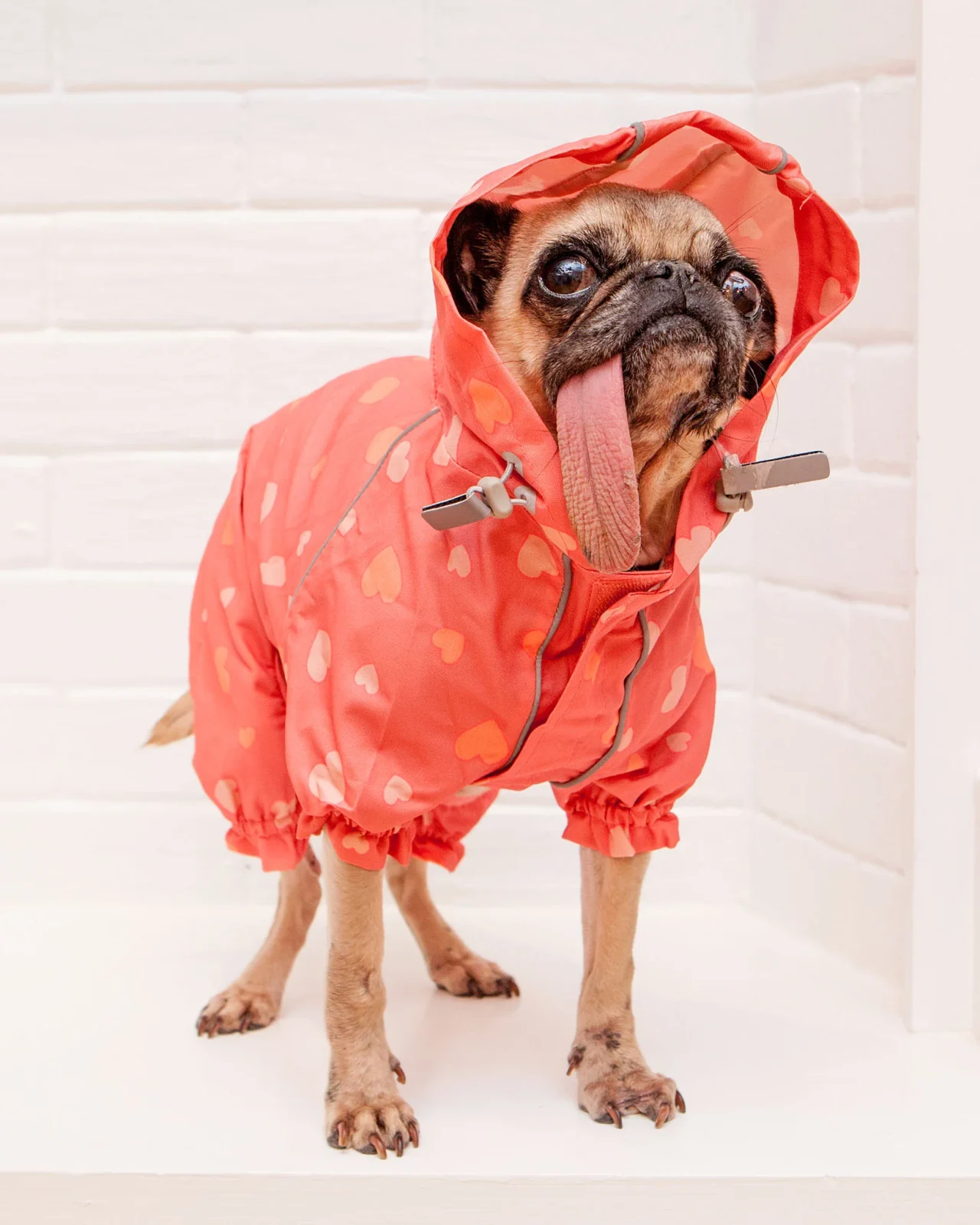 Reflective Dog Rainsuit in Pink Hearts <> - Image 2