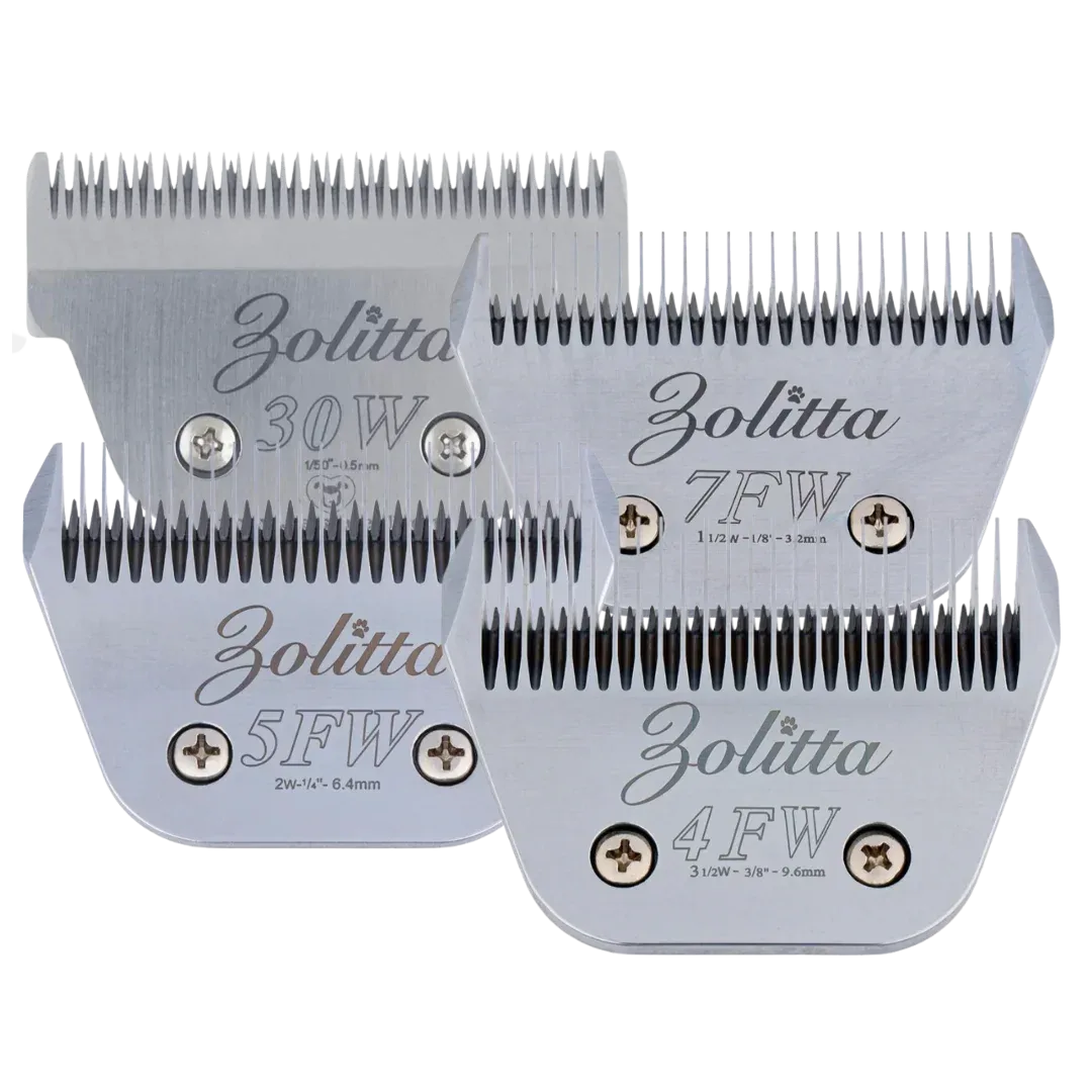 Best-Selling Wide Blades Set of 4 by Zolitta - Image 2