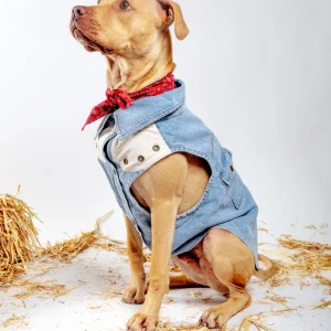 Maverick Denim Dog Shirt (FINAL SALE)