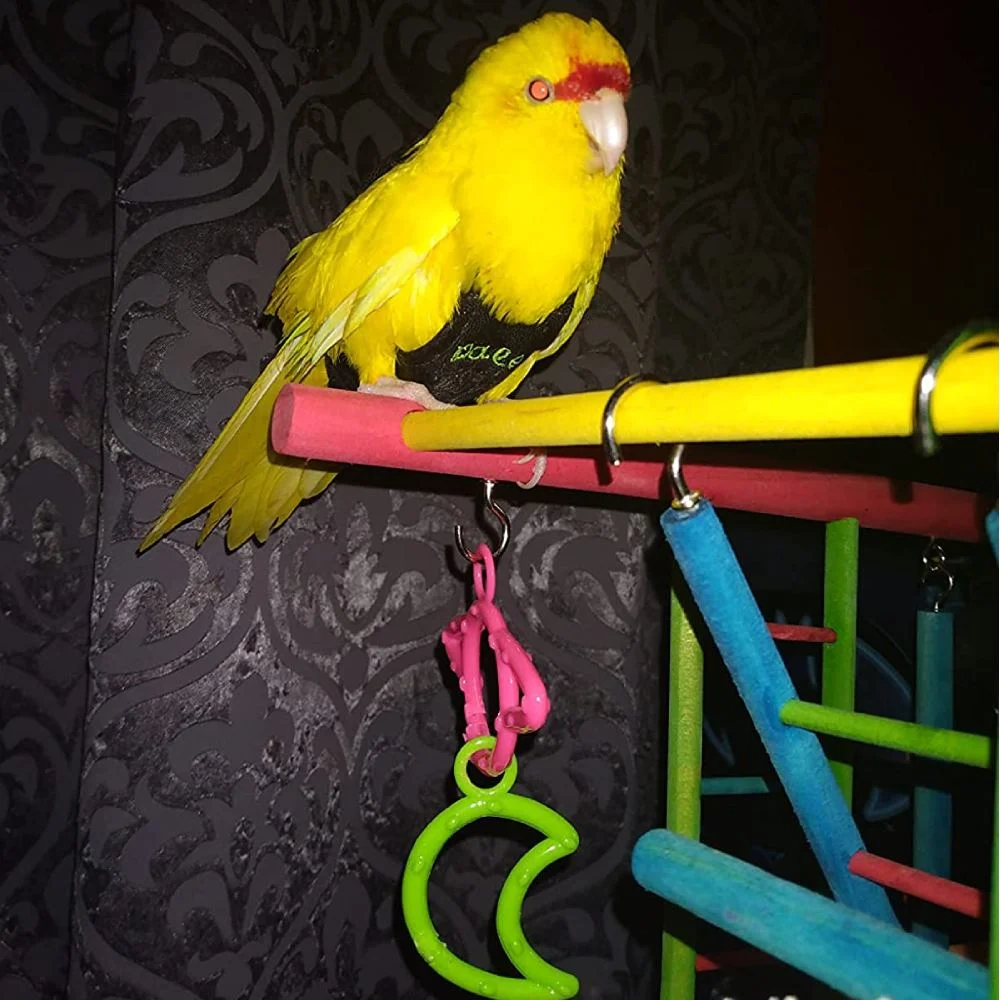 Wooden Playpen with Perches and Swing - Image 2