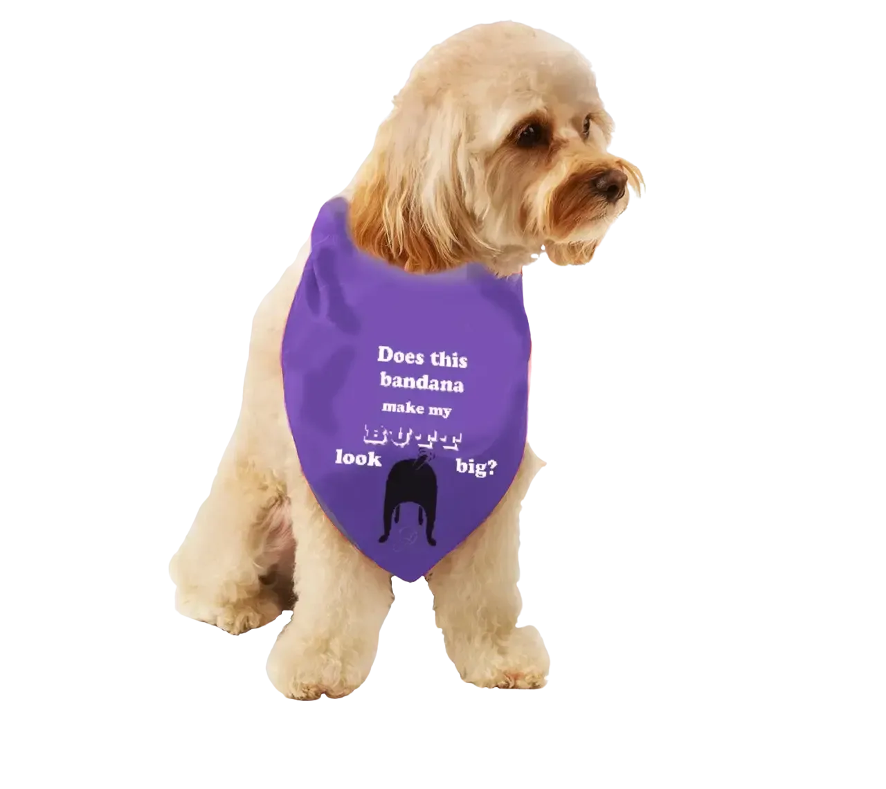 "Does This Bandana Make My Butt Look Big?" Bandana by Dog Fashion Living
