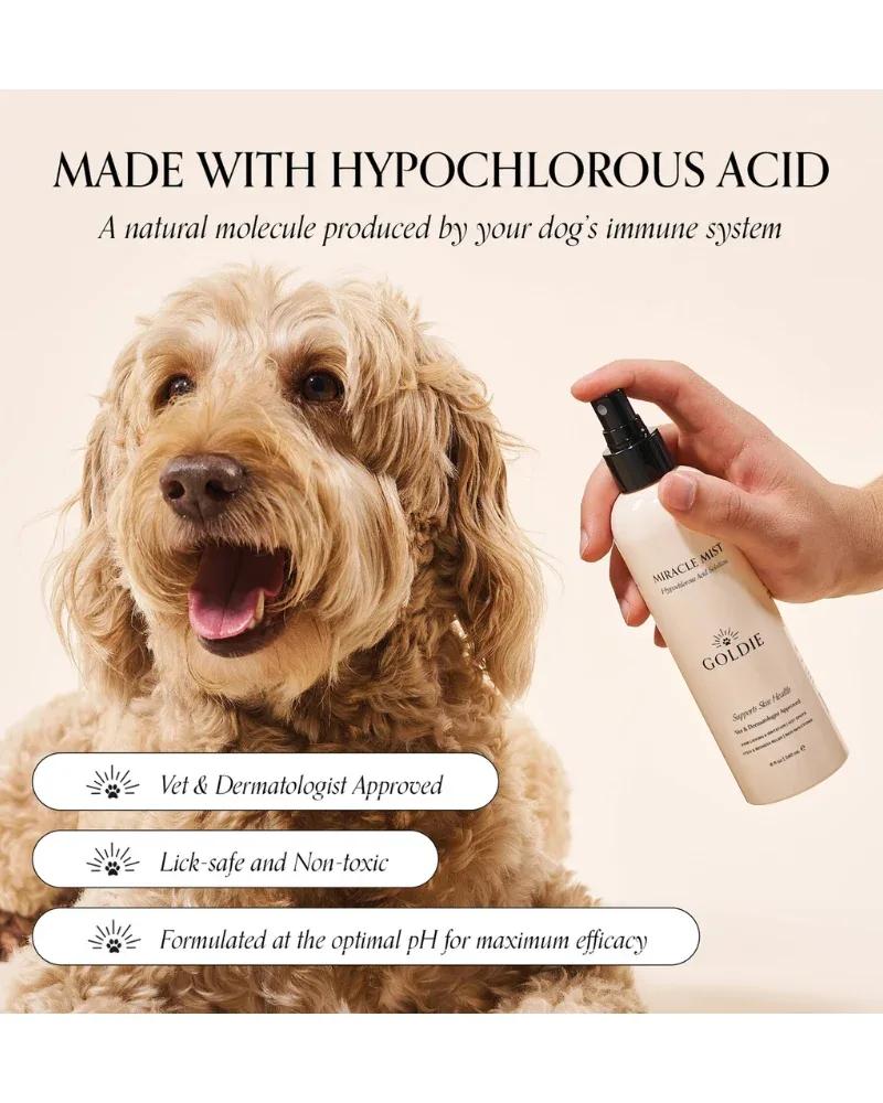 Miracle Mist Hypochlorous Acid Spray for Dogs (3.4oz) - Image 2