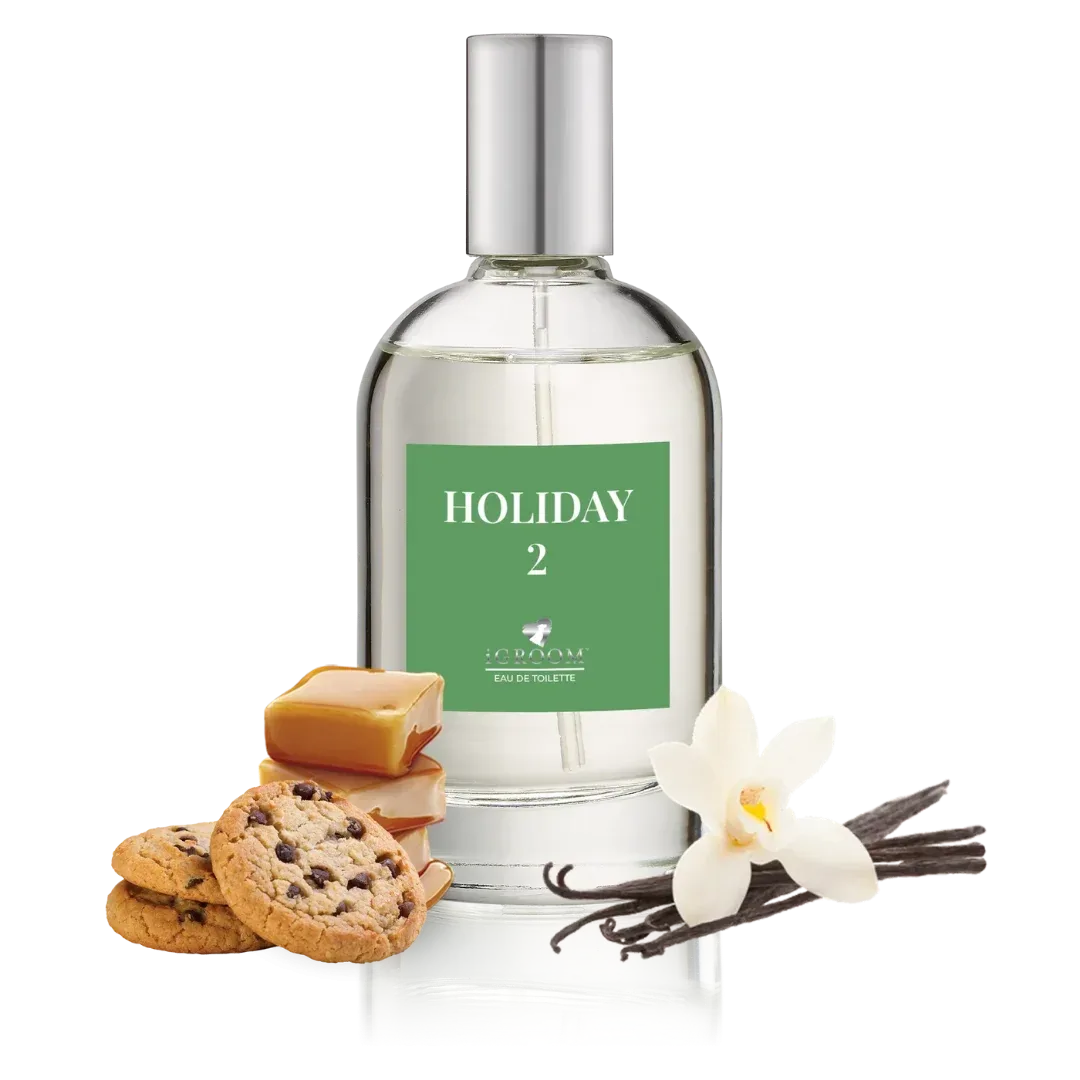 Holiday 2 Perfume 100ml by iGroom - Image 2