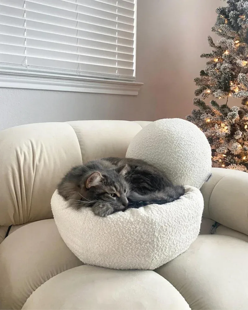 Bouclé Modular Moon Cat Cave Bed
