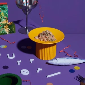 Teeth Party Elevated Pet Feeder (FINAL SALE)