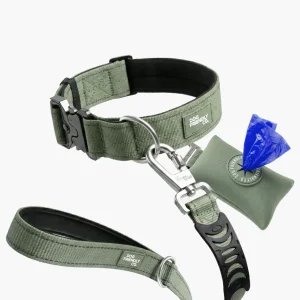 Collar Walk Set - Khaki