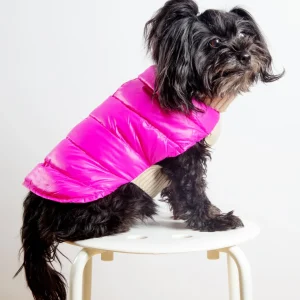 The Puffer Dog Sweater in Tan & Pink