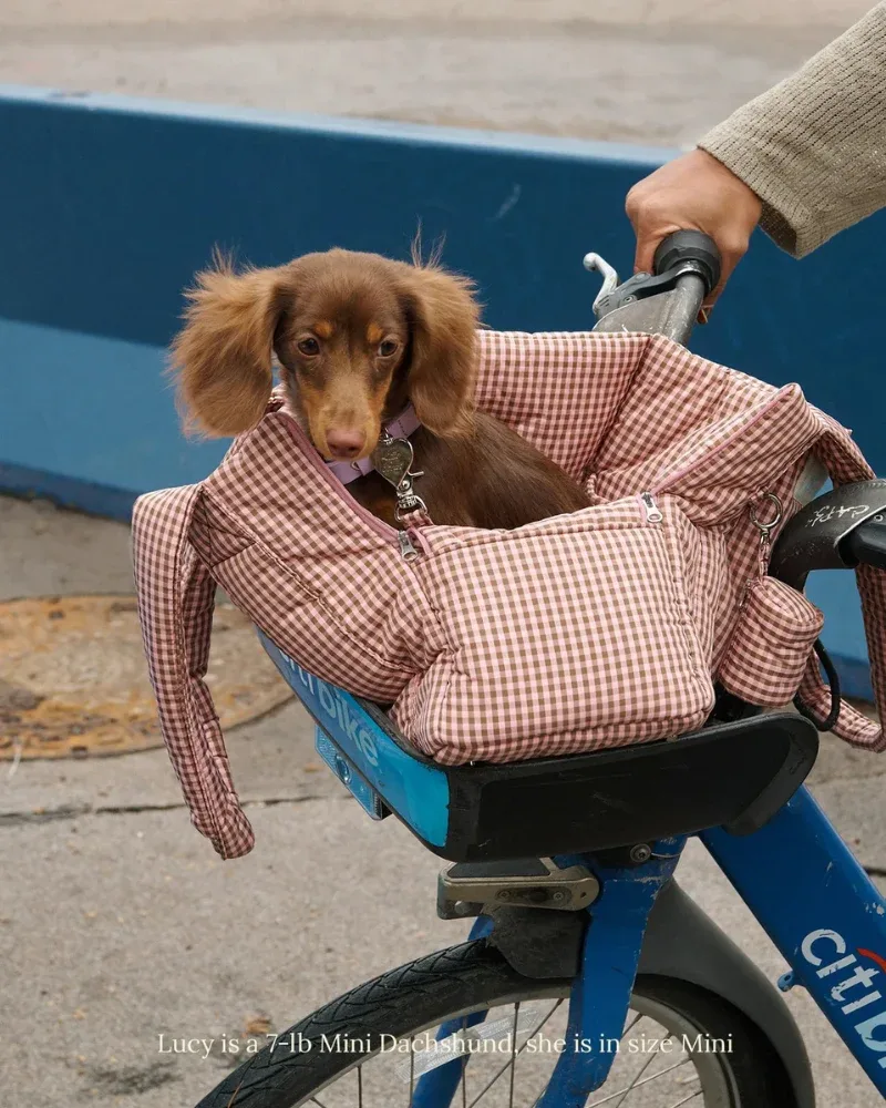 The Little Beast Dog Carrier in RiRi - Image 2