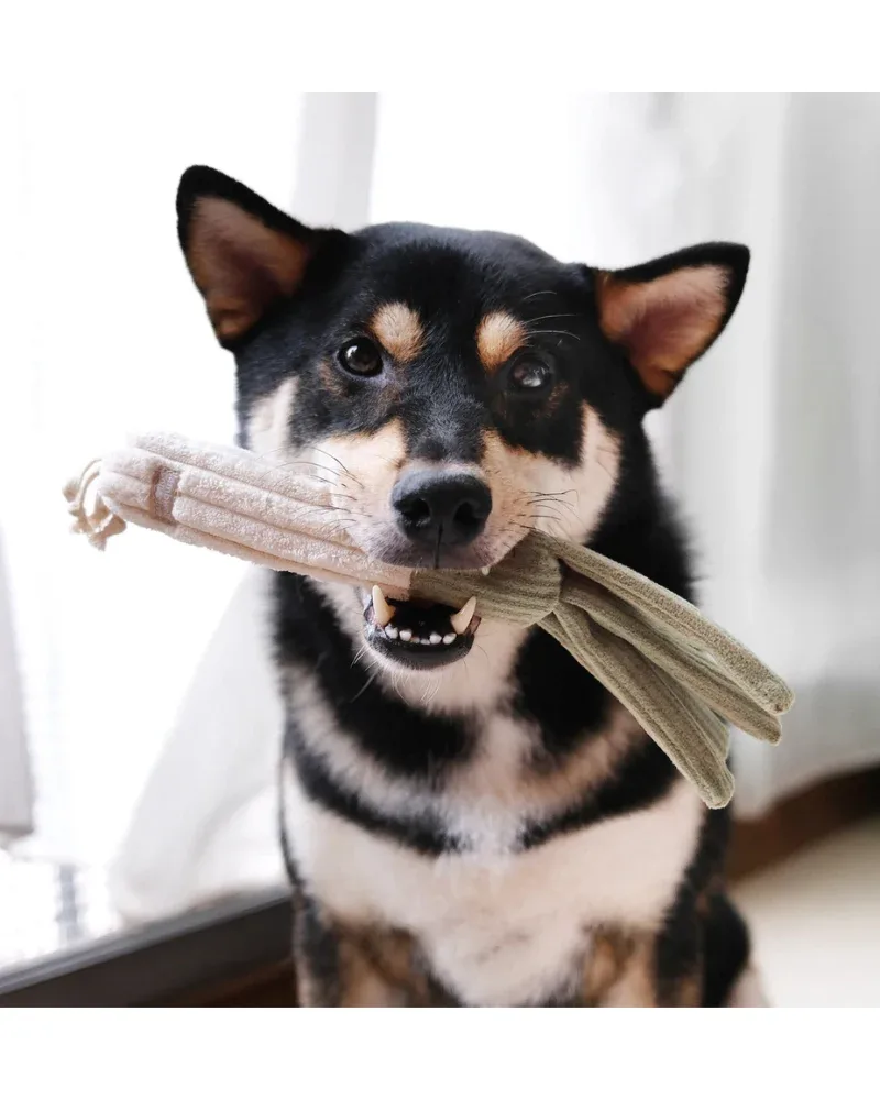 Leek Plush Squeaky Toy for Dogs - Image 2