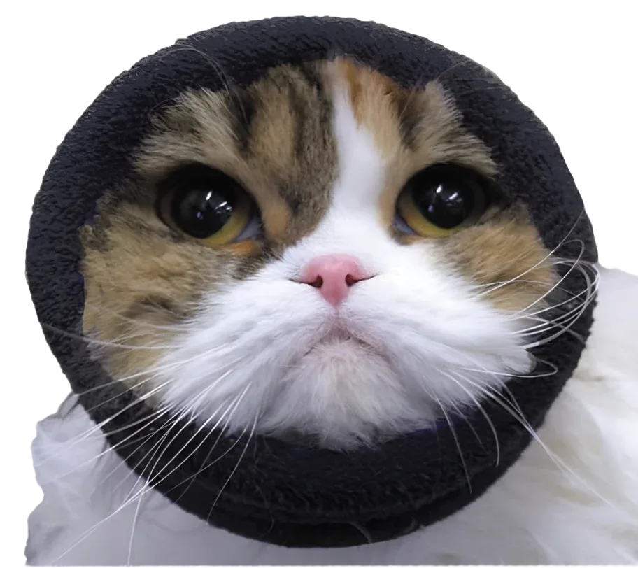 Happy Hoodie Black Extra Small - Image 2