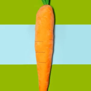 Carrot Plush Dog Toy (29")