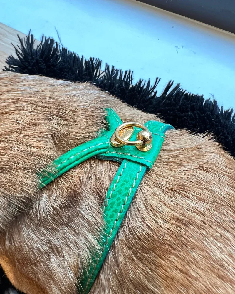Italian Leather Dog Harness in Green (FINAL SALE) - Image 2