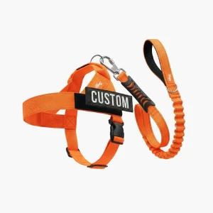 Signature Kit - Orange