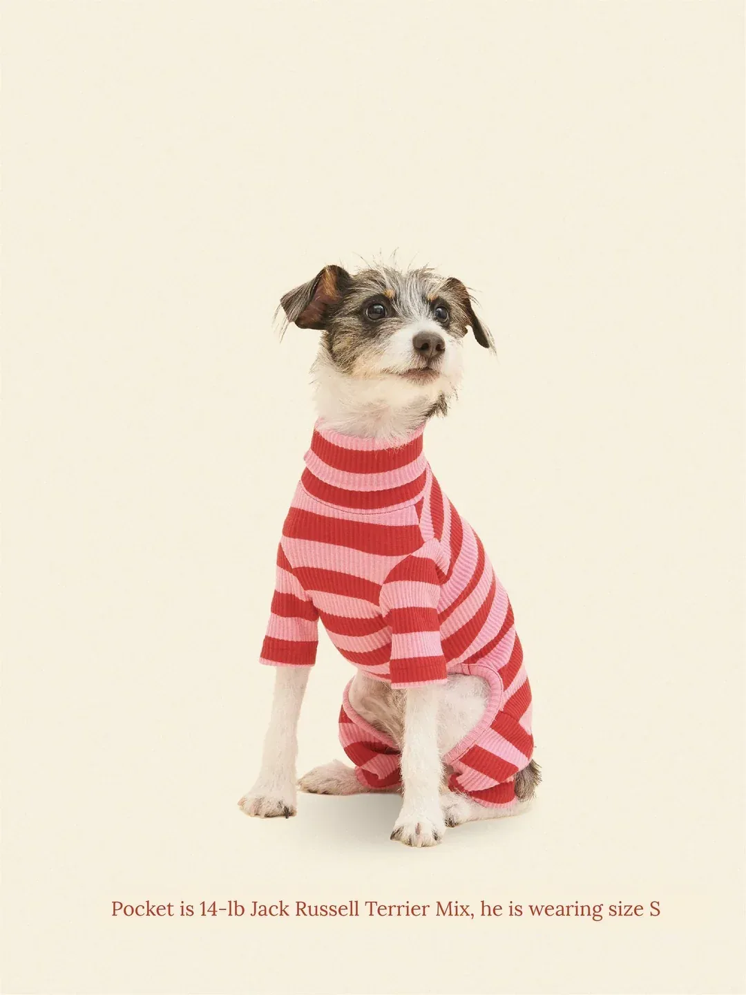 Kiss Me Ribbed Dog Onesie (FINAL SALE)