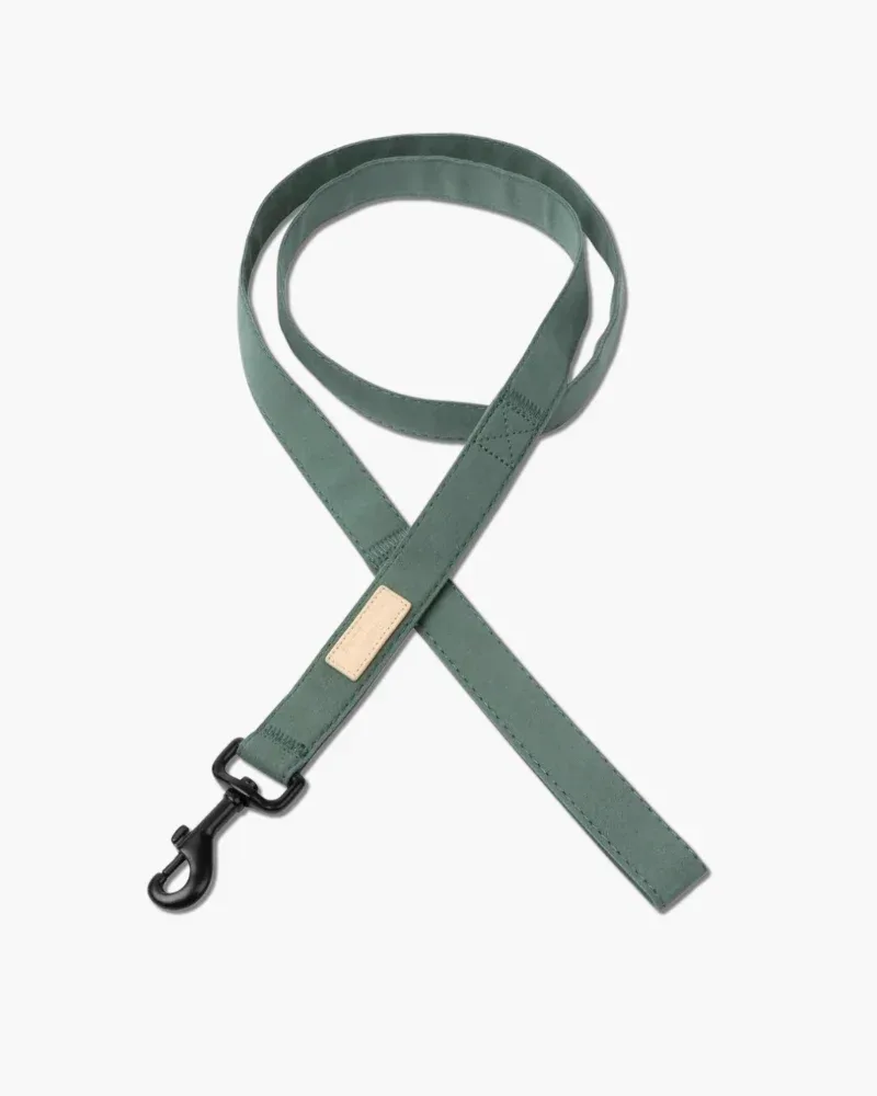 Soft Fabric Dog Leash (with Traffic Loop) in Sandstone, Myrtle Green or Soft Blush - Image 2