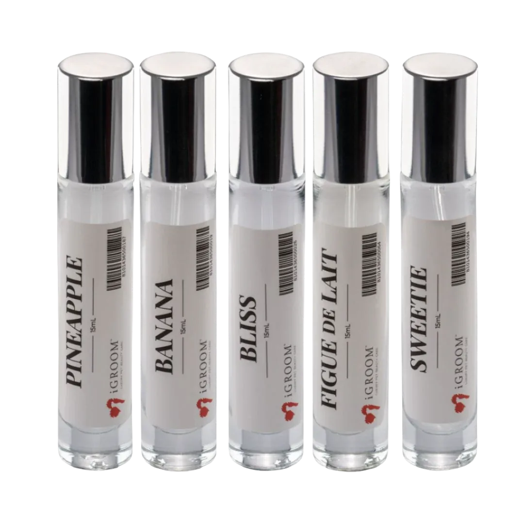 Five Best Seller Perfume Bundle 15ml by iGroom