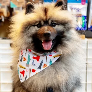 New York City Dog Bandana (Made in the USA)