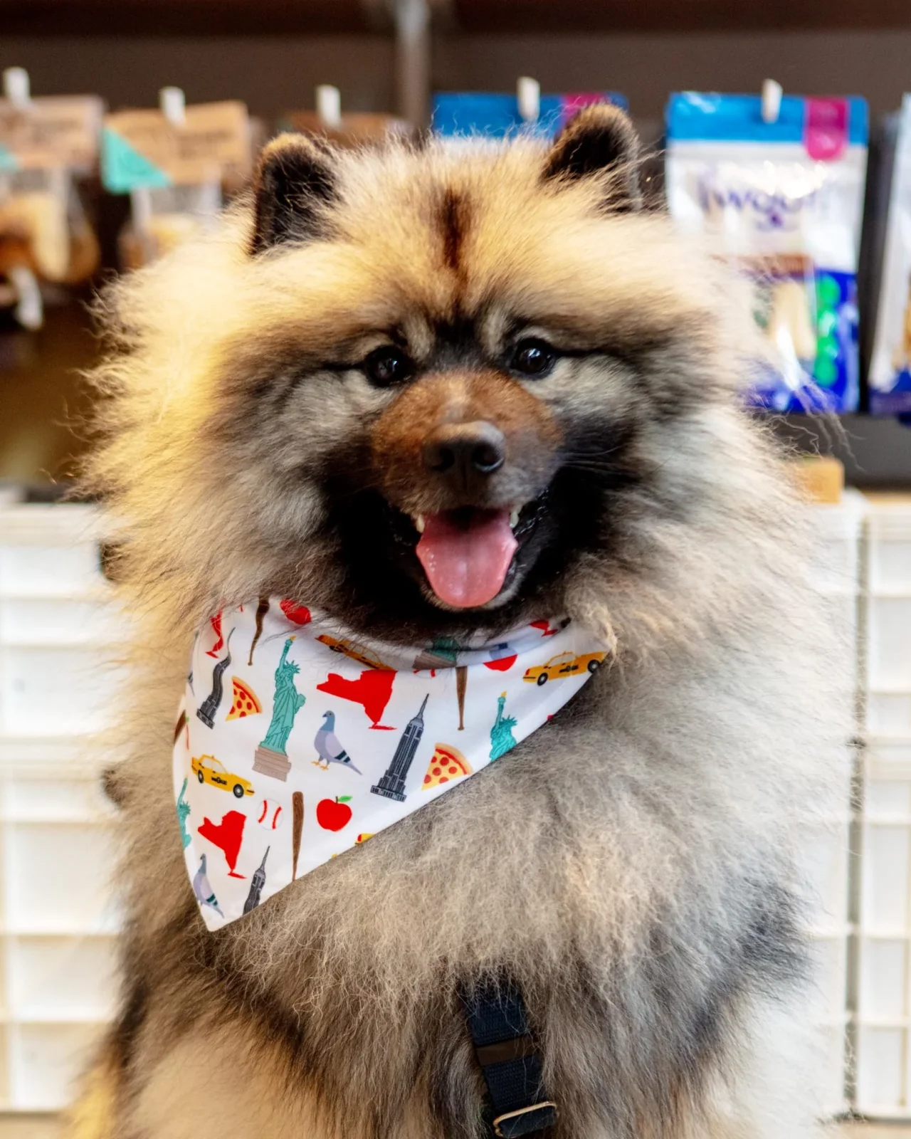 New York City Dog Bandana (Made in the USA)