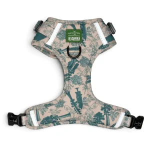 Lucy & Co. x Parks Project Sequoia Seedlings No-Pull Harness