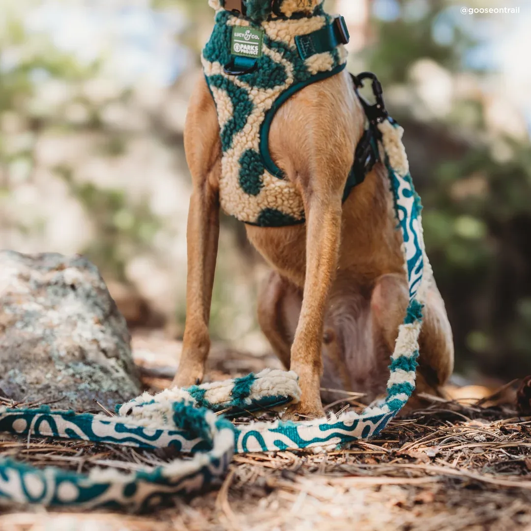 Lucy & Co. x Parks Project Geyser Fleece Leash - Image 2