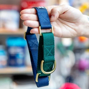 Martingale Dog Collar in Navy + Evergreen (Made in the USA)
