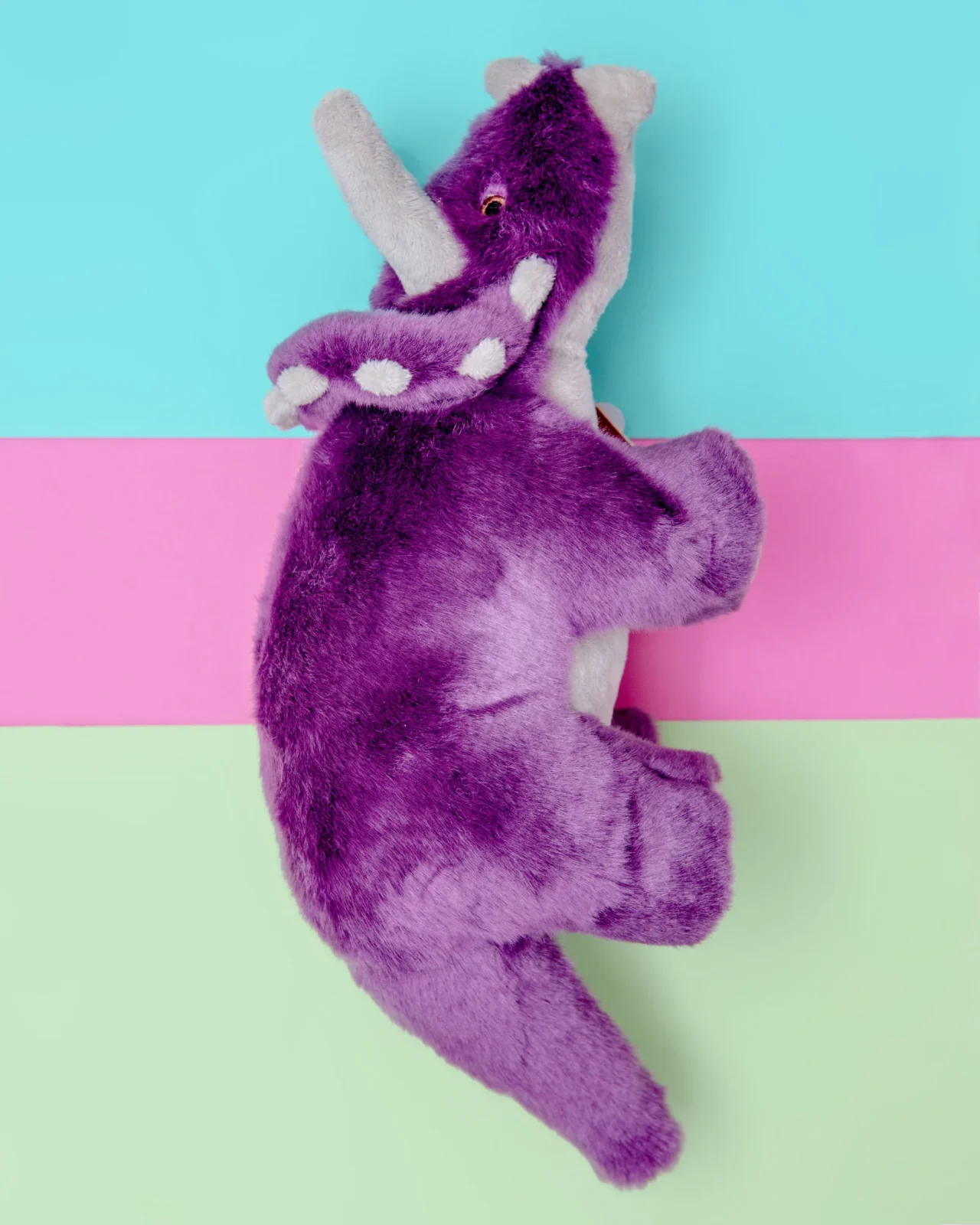Charlie Triceratops Squeaky Plush Dog Toy