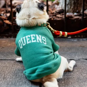 Queens Dog Sweatshirt in Green