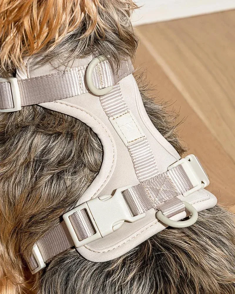 Cushioned Dog Harness in Grey (FINAL SALE) - Image 2