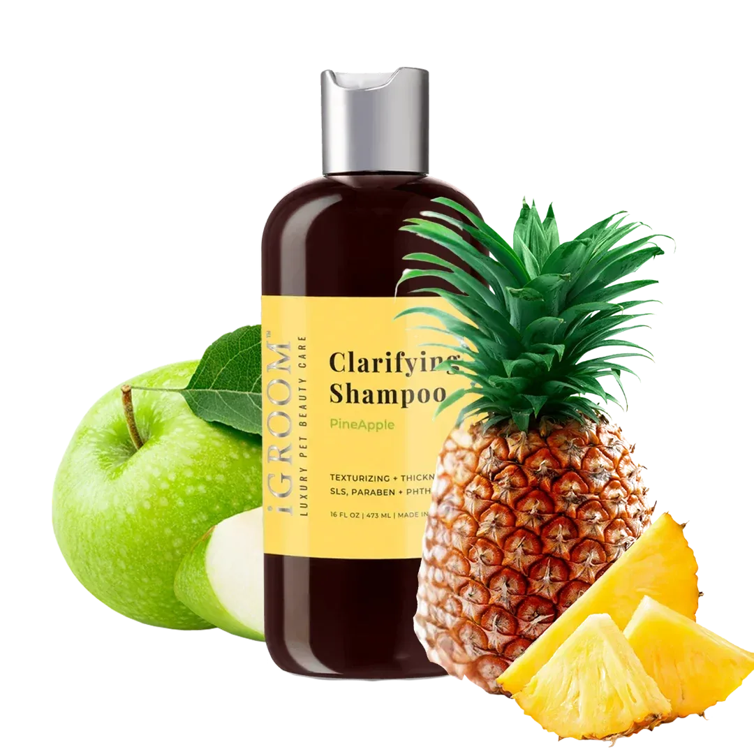 Clarifying Shampoo Pineapple 16oz by iGroom - Image 2