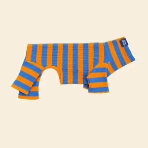 OG Ribbed Dog Onesie in Orange & Blue