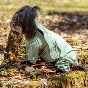 Go-Pro Dog Rainsuit in Khaki (FINAL SALE)