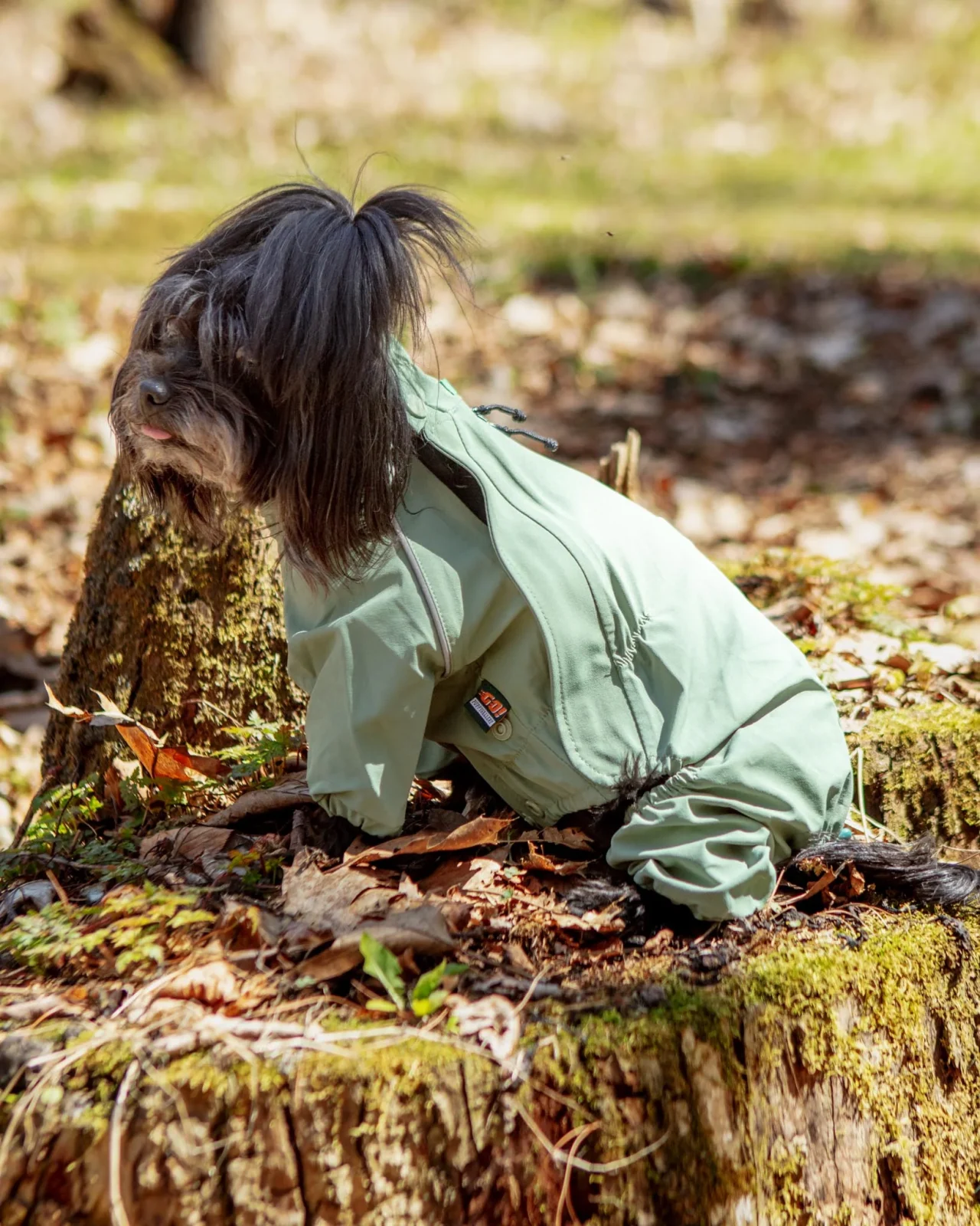 Go-Pro Dog Rainsuit in Khaki (FINAL SALE)