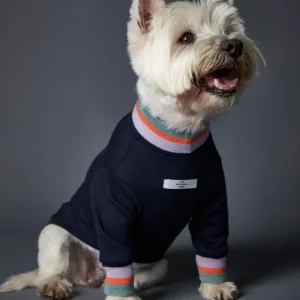 Lakewood Navy Pullover Dog Sweater With Striped Neckline & Cuffs (CLEARANCE)