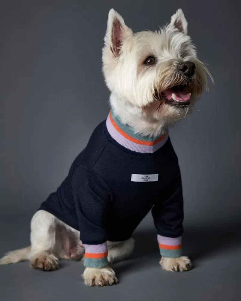 Lakewood Navy Pullover Dog Sweater With Striped Neckline & Cuffs (CLEARANCE)