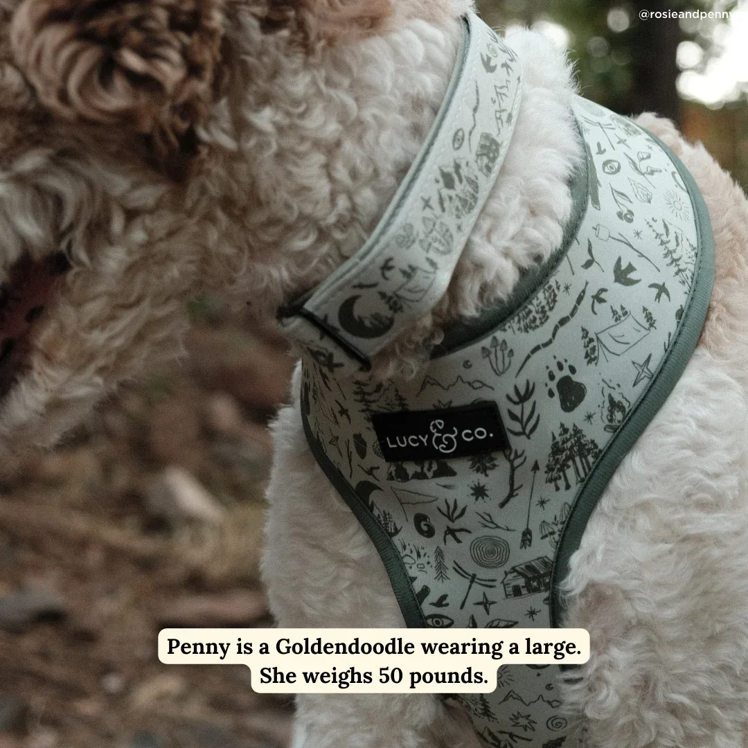 Camp Out Collar - Image 2