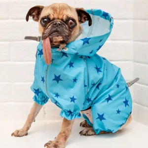 Reflective Dog Rainsuit in Blue Stars <>