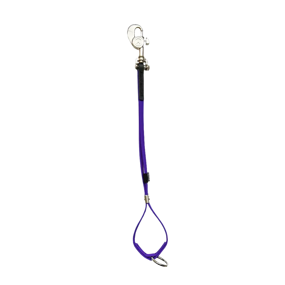 AXL Shorty Loop Violet by Alpha Grooming