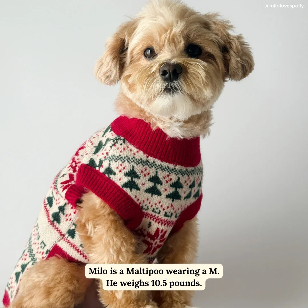 Let it Snow Sweater - Image 2