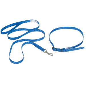 ID Me Take Me Home Leashes and Collars 12pk Assorted Colors by Breeder's Edge