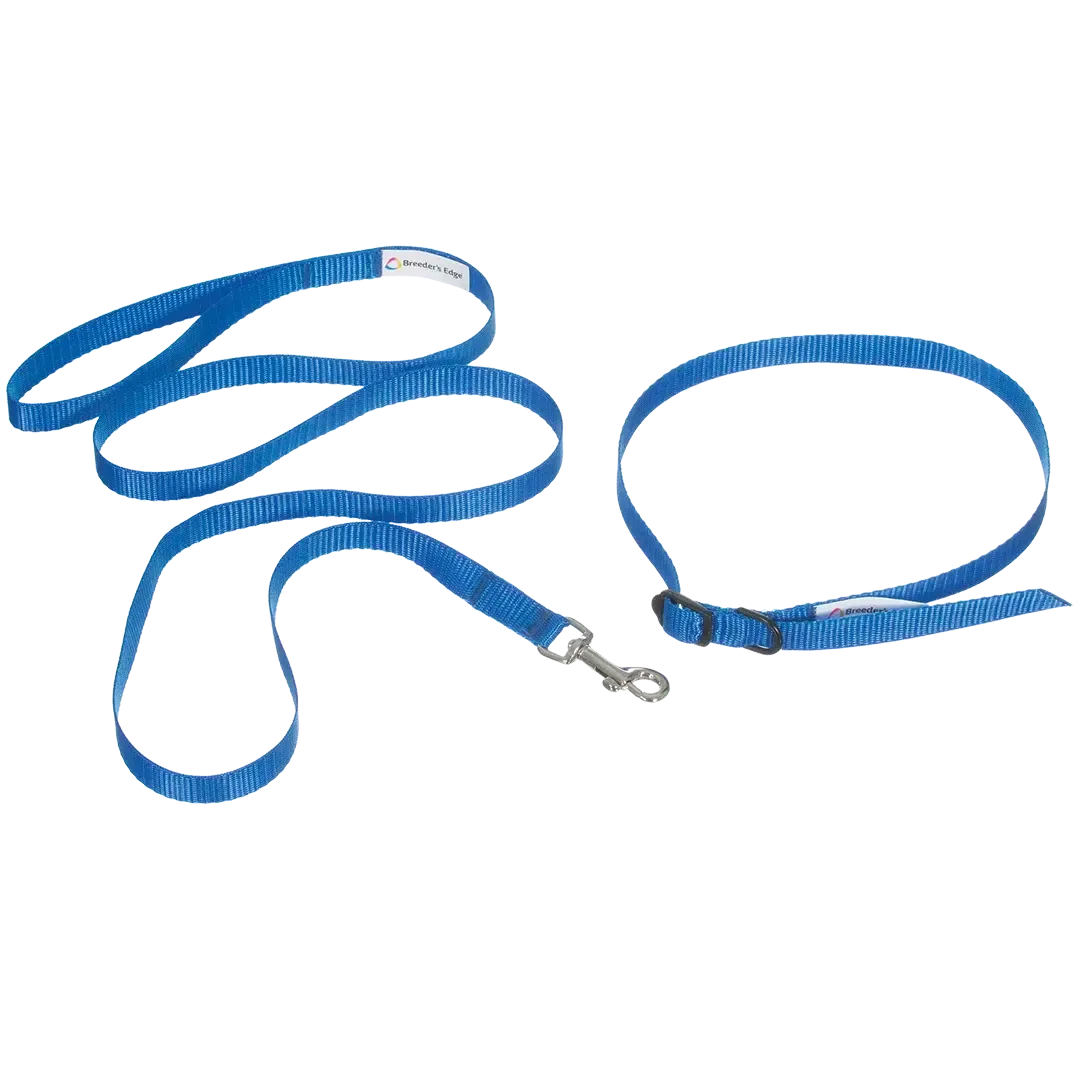 ID Me Take Me Home Leashes and Collars 12pk Assorted Colors by Breeder's Edge