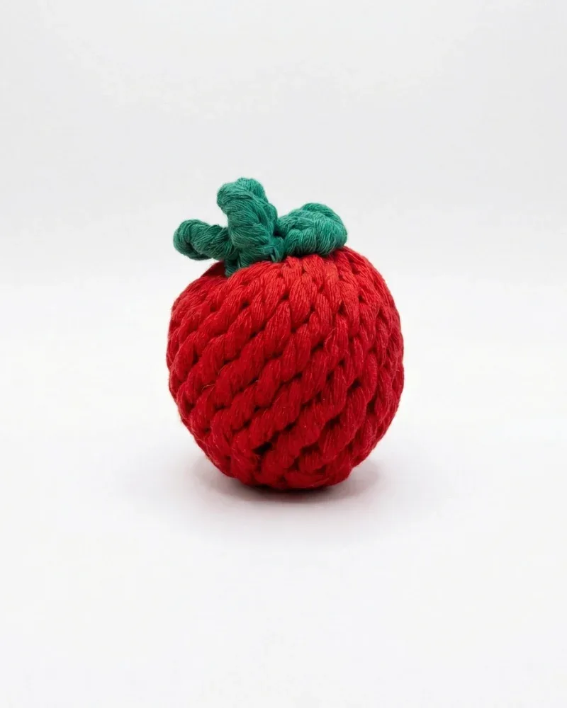 Handmade Tomato Rope Dog Toy - Image 2