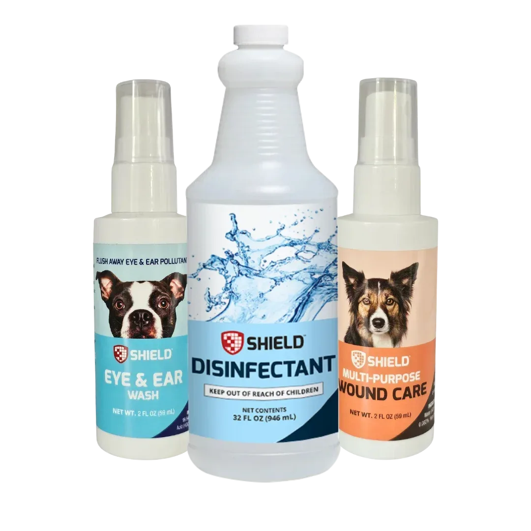 Essential Care Kit by Shield - Image 2