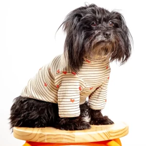 Aveline Striped Heart Dog Pullover