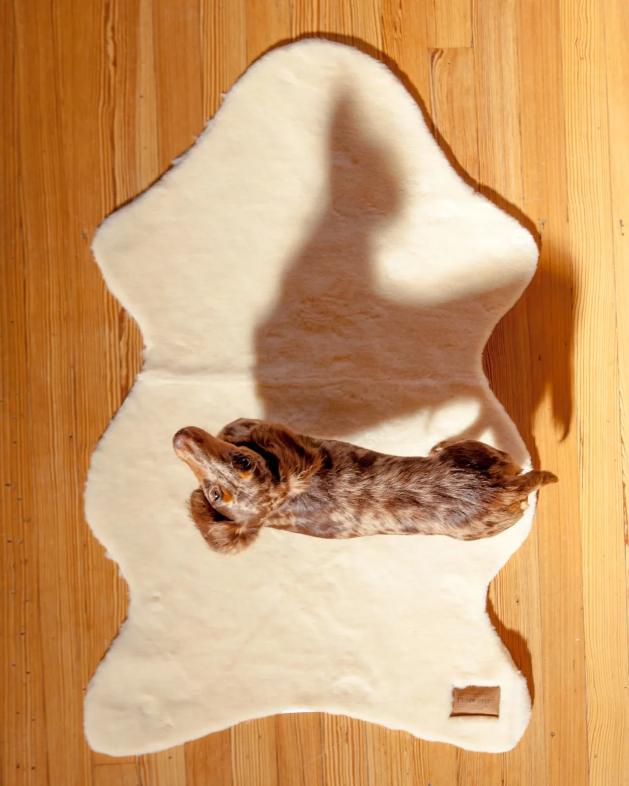 Pendleton Faux Shearling Pet Throw